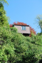 Bottom up view of shed